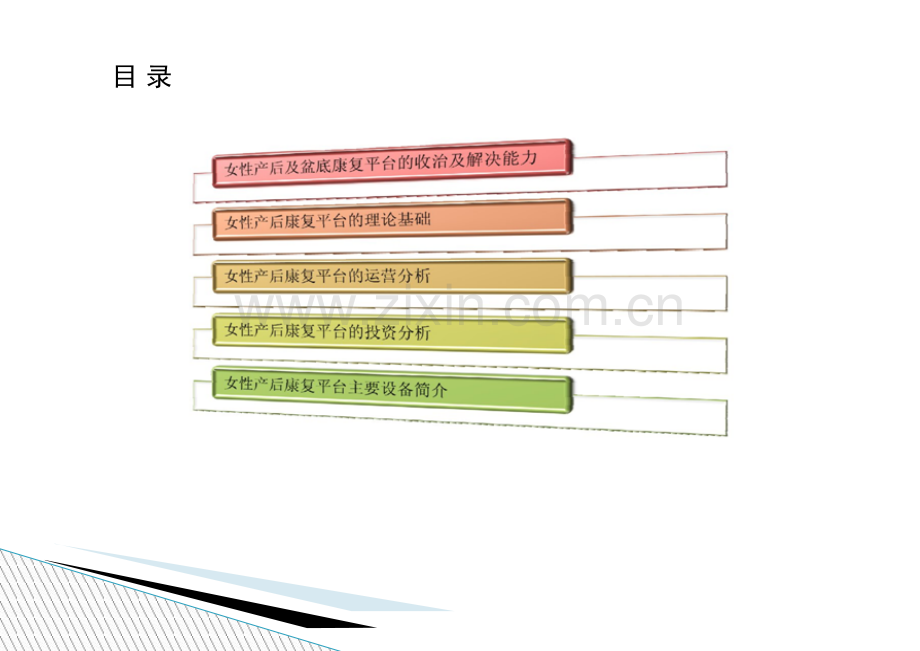 民营专科项目策划书(妇科).ppt_第1页