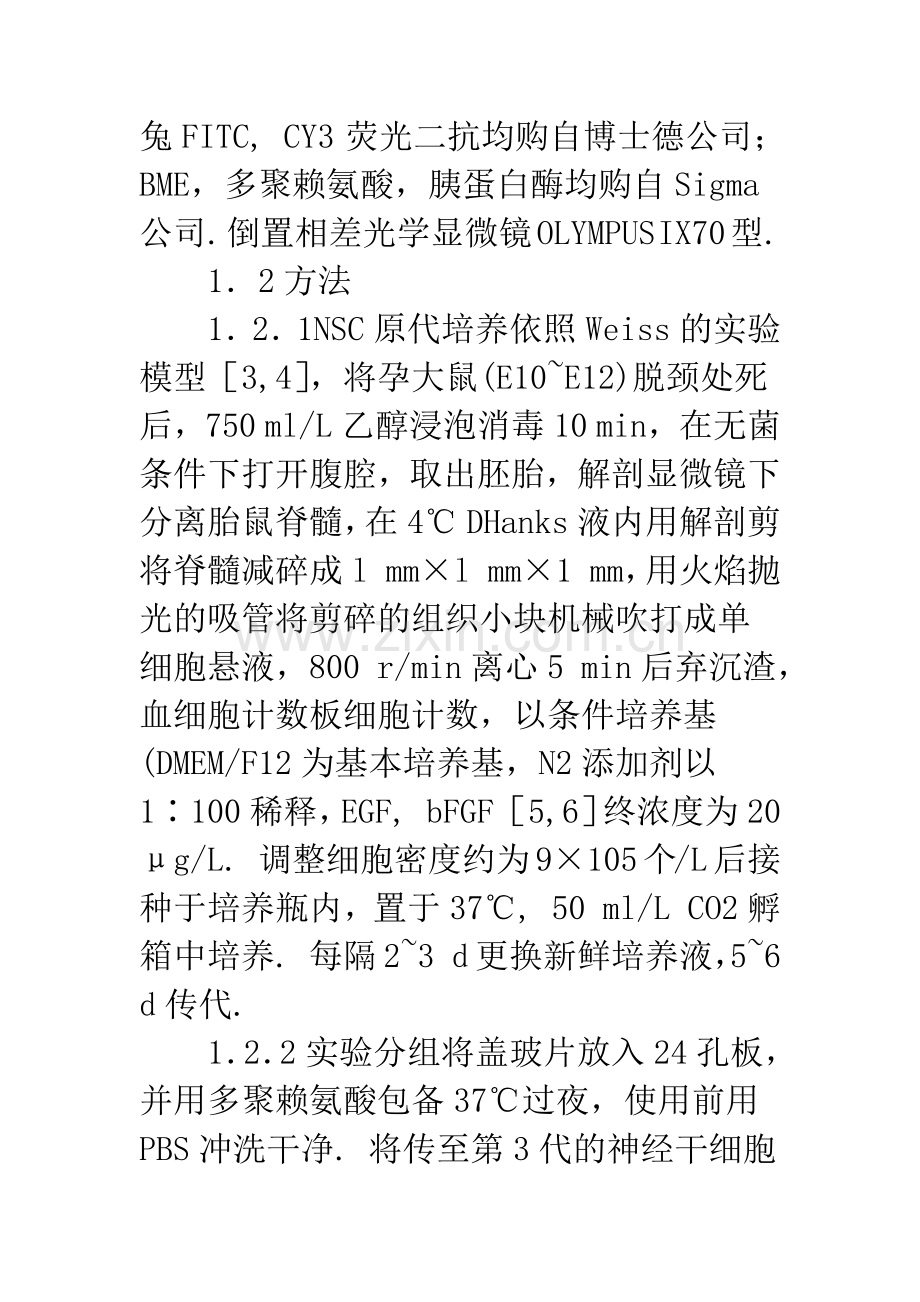 不同浓度BME对大鼠胚胎脊髓神经干细胞增殖和分化的影响.docx_第3页