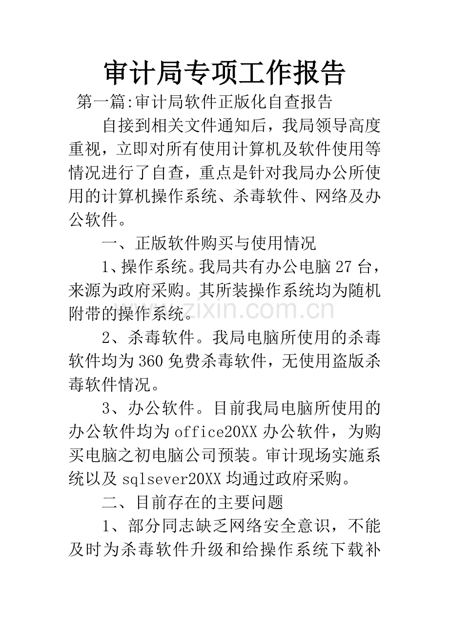 审计局专项工作报告.docx_第1页