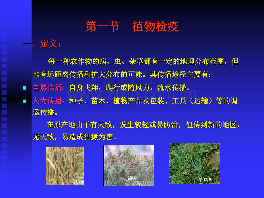 第六章常见害虫防治原理方法.ppt_第3页