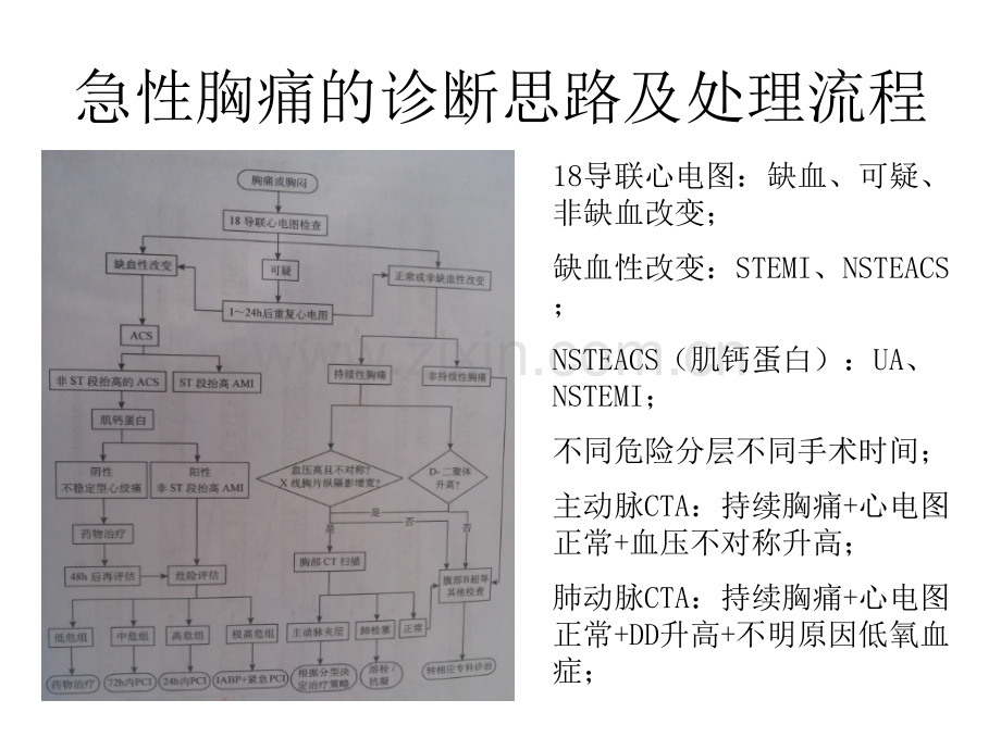 胸痛中心的运作流程.ppt_第1页