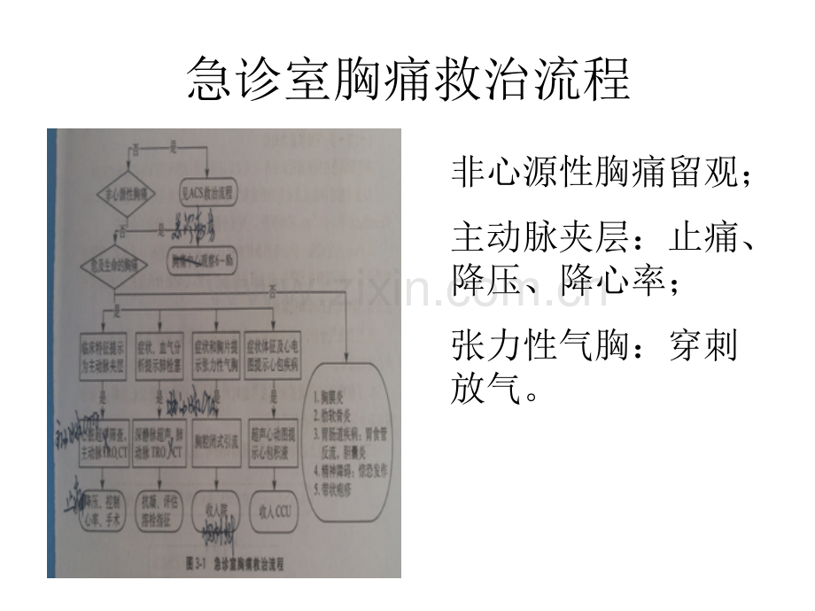 胸痛中心的运作流程.ppt_第3页