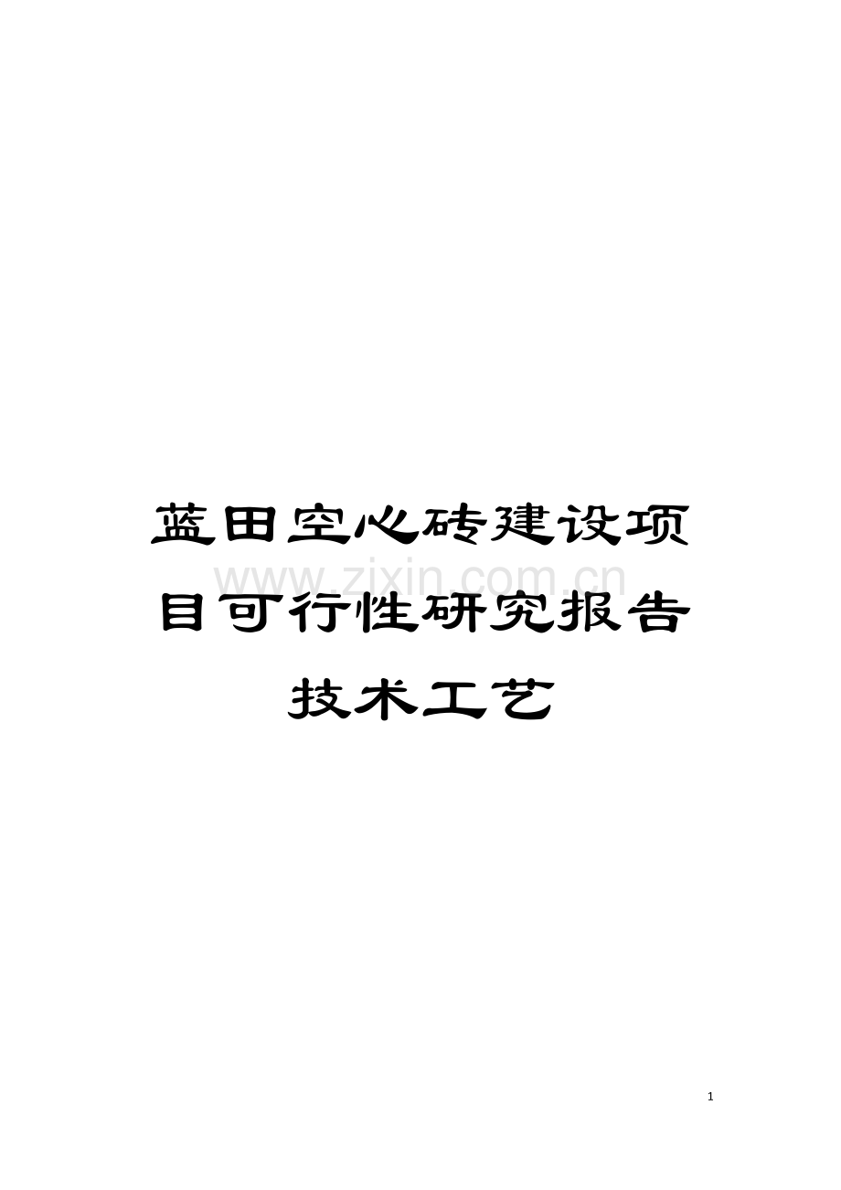 蓝田空心砖建设项目可行性研究报告技术工艺模板.doc_第1页