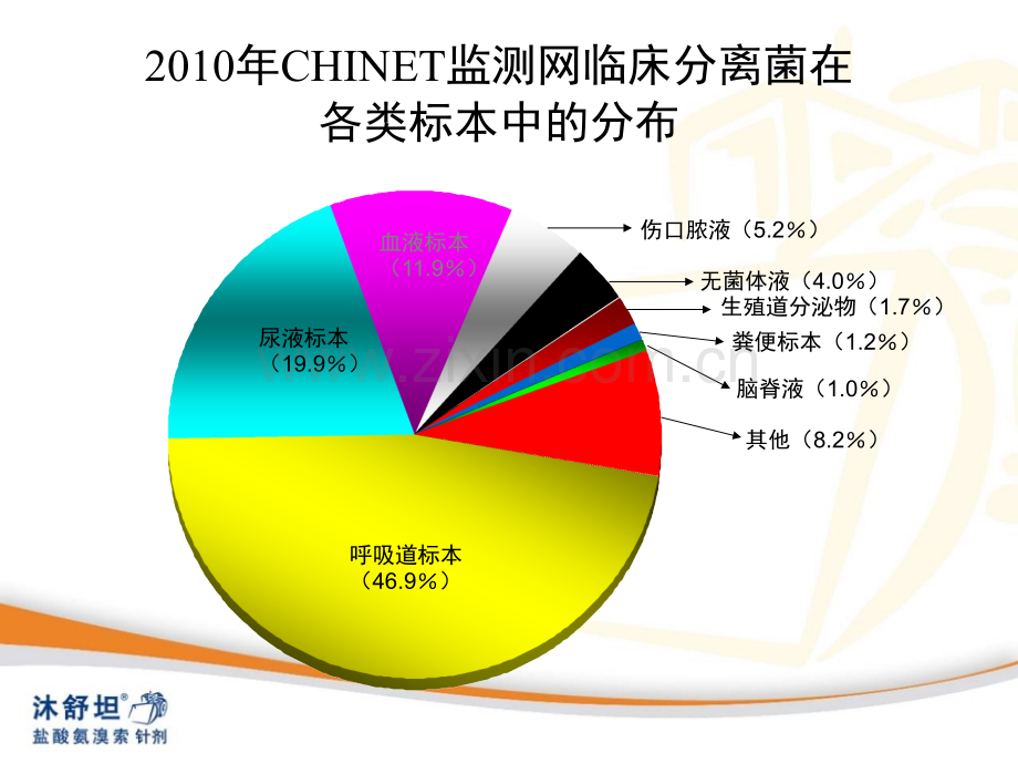 肺部感染的优化治疗沐舒坦针剂在肺部感染治疗中的地位-医学课件.ppt_第2页