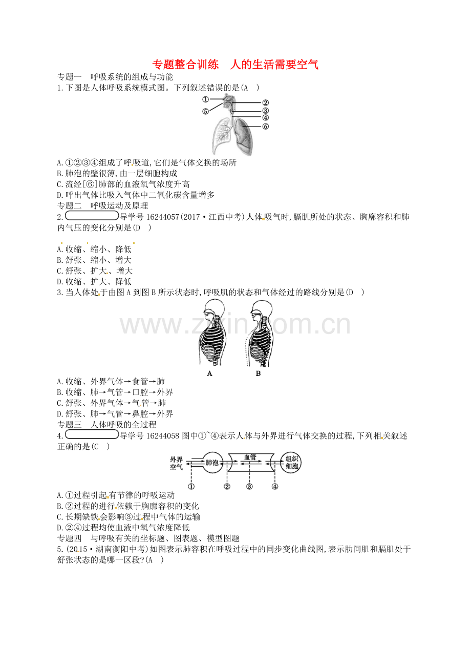 2017-2018学年七年级生物下册专题整合训练2人的生活需要空气新版.doc_第1页