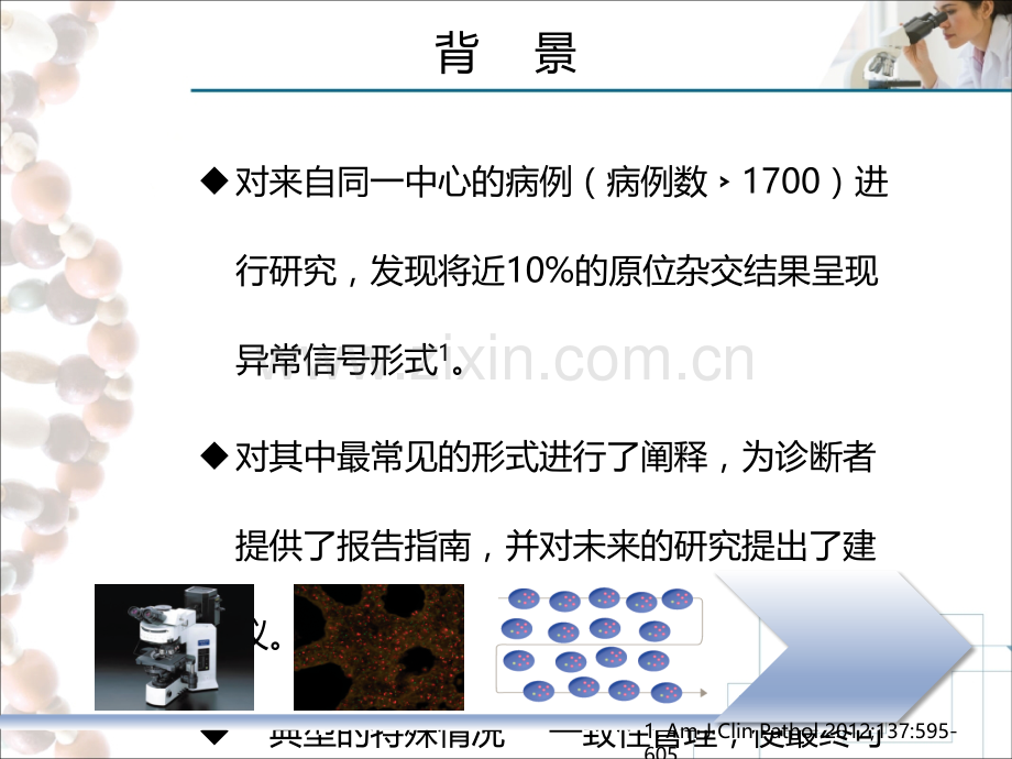 HER二基因扩增FISH典型特殊案例分享PPT培训课件.ppt_第3页