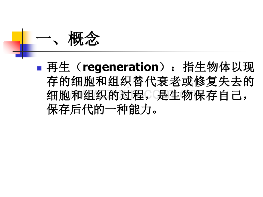 第六章再生.ppt_第3页