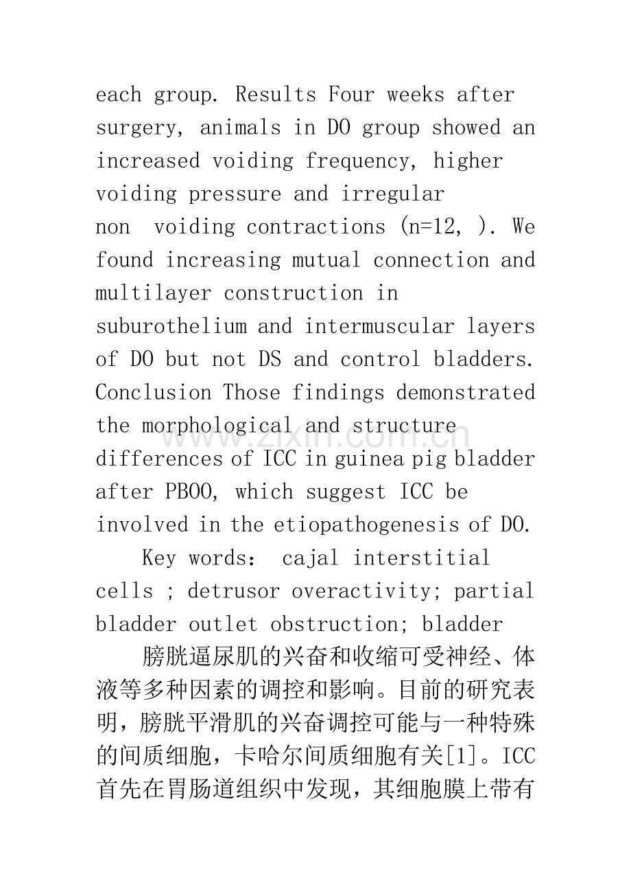 PBOO对豚鼠膀胱卡哈尔间质细胞形态结构的影响.docx_第3页