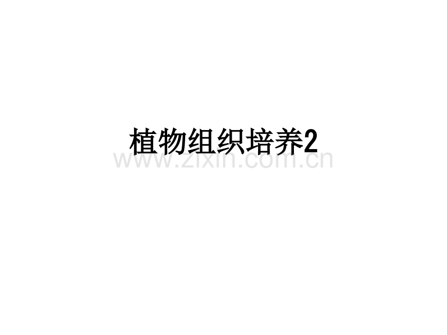 植物组织培养2.ppt_第1页