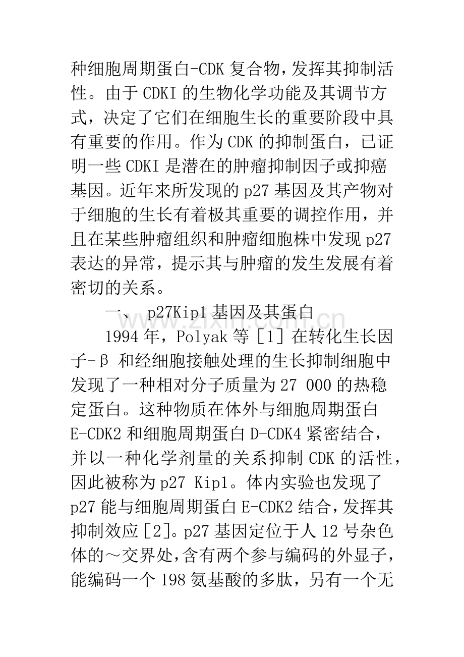 p27Kip1与肿瘤.docx_第2页