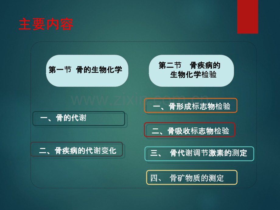 第十八章骨代谢异常的生物化学检验2015w.ppt_第2页