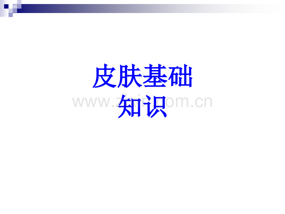 皮肤基础知识PPT培训课件.ppt_第1页