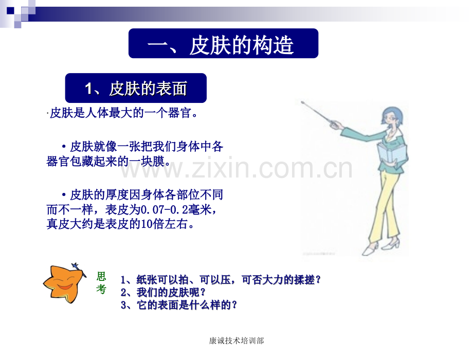 皮肤基础知识PPT培训课件.ppt_第3页