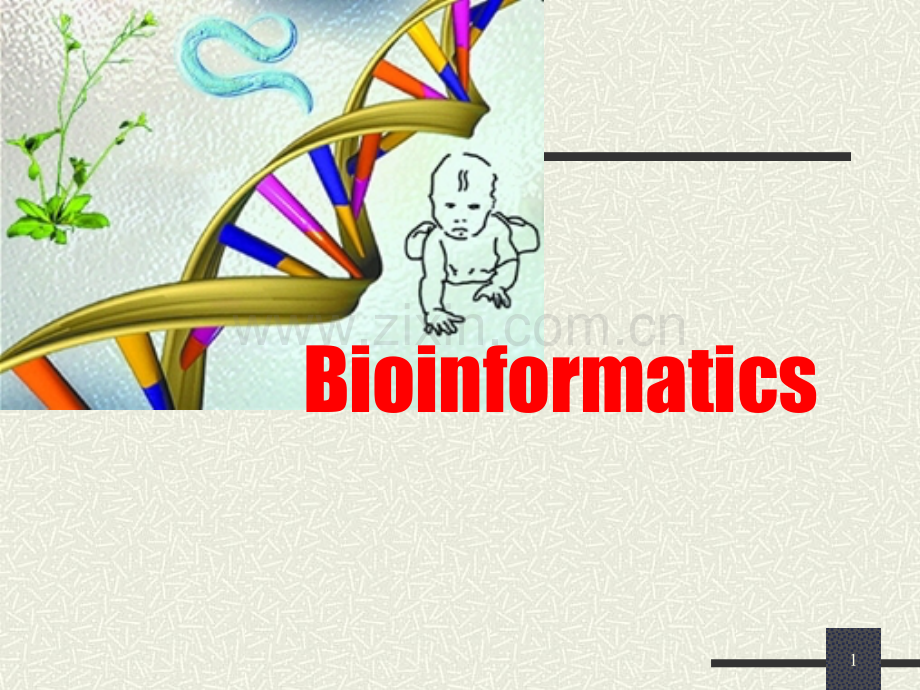 生物信息学序列分析.ppt_第1页