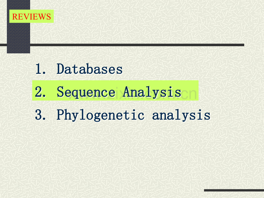 生物信息学序列分析.ppt_第2页