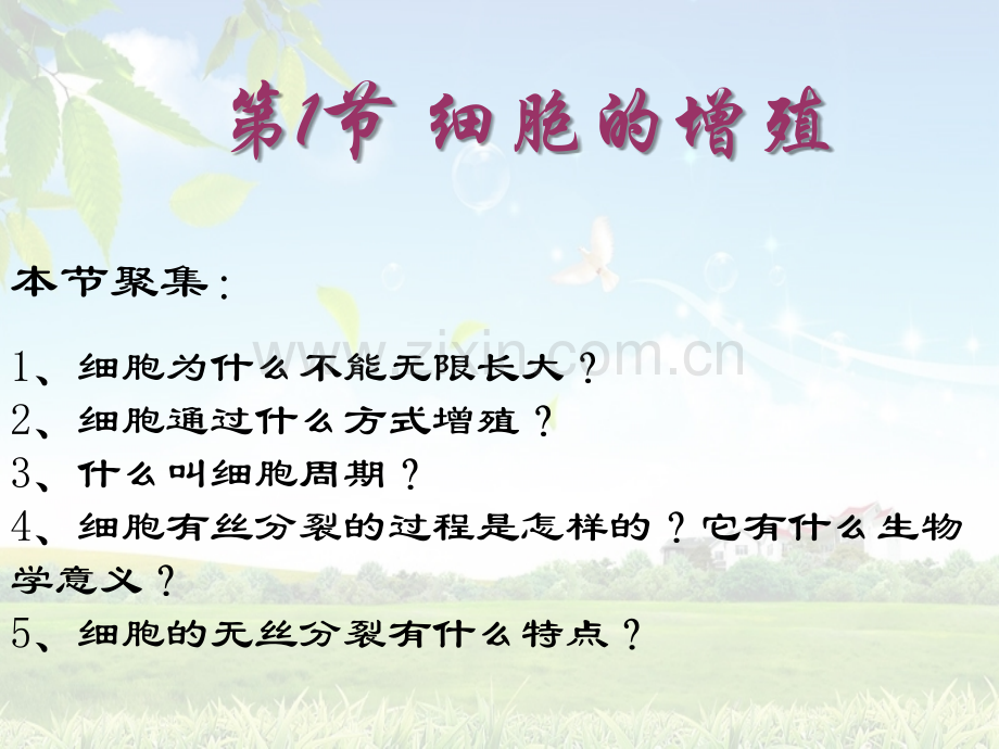 第六章第一节细胞的增殖(正式).ppt_第2页