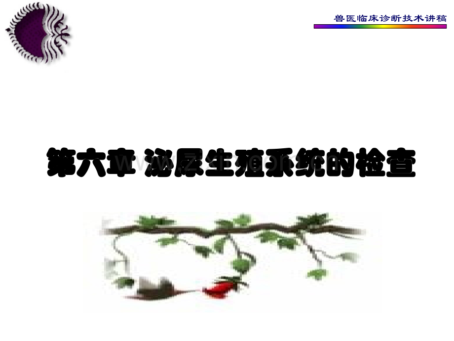 第六章-泌尿生殖系统的检查.ppt_第1页