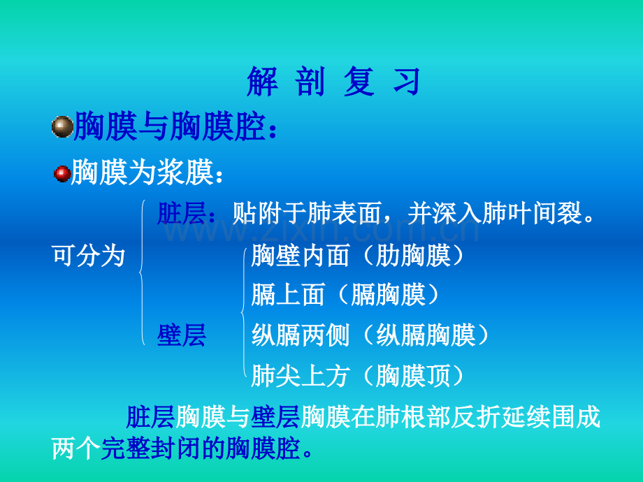 胸腔的超声诊断学.ppt_第3页