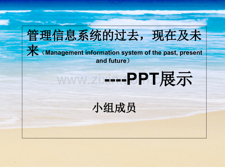 管理信息系统的过去现在及未来案例.ppt_第1页