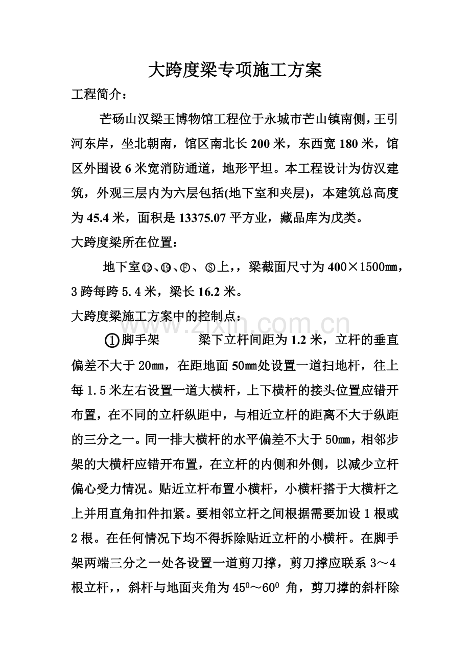 大跨度梁专项施工方案.doc_第2页