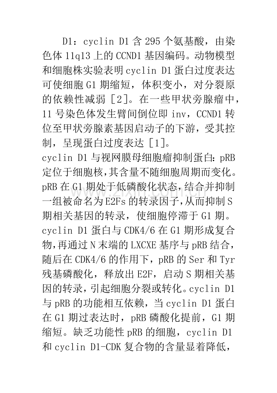 cyclin-D1与人类肿瘤.docx_第3页