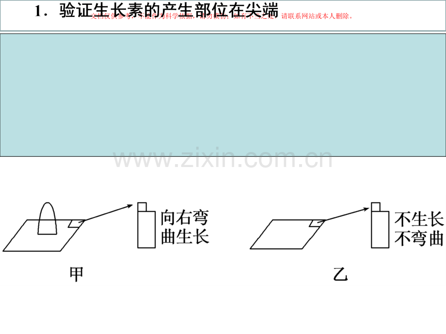 植物激素相关的实验设计课件.ppt_第1页