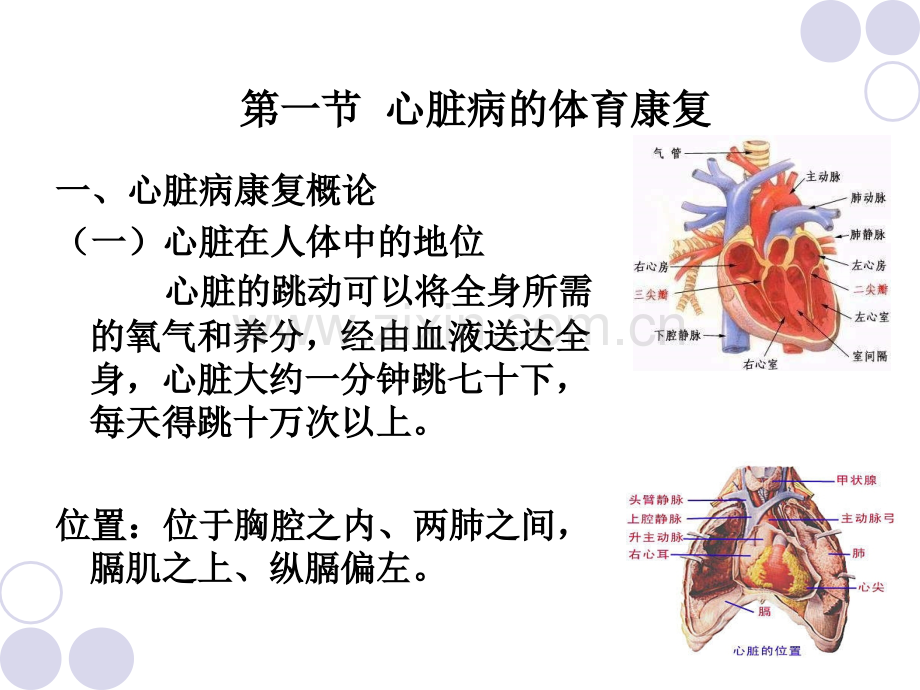 第六章心血管疾病.ppt_第2页