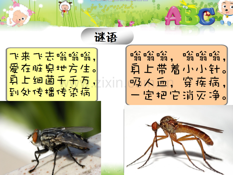 董明月中班健康夏季的卫生培训课件.ppt_第1页