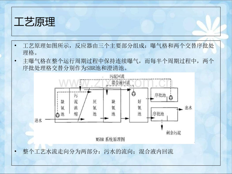 MSBR工艺专题培训课件.ppt_第2页