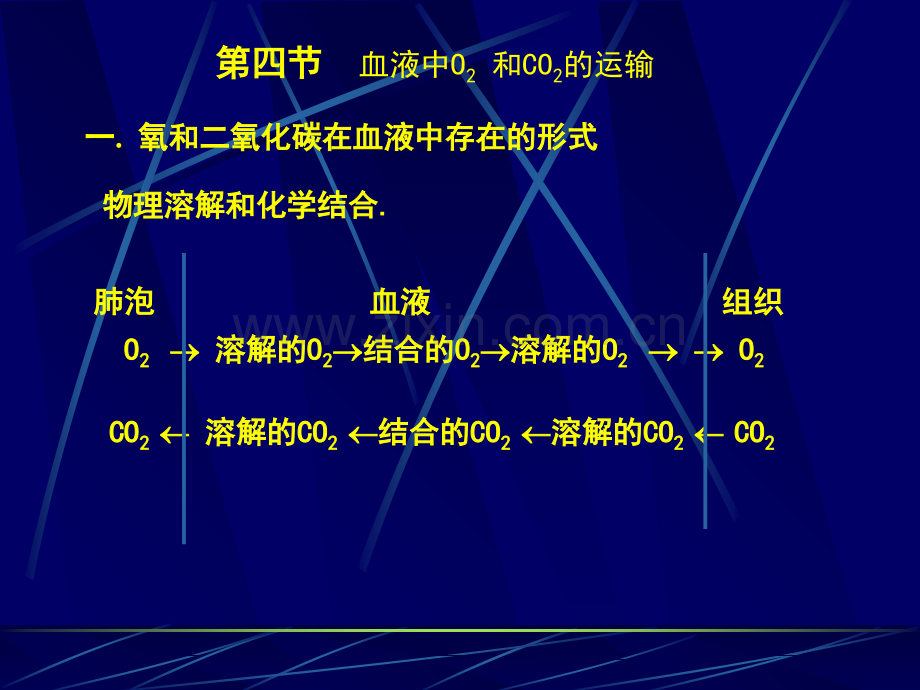 第六章呼吸(下).ppt_第1页