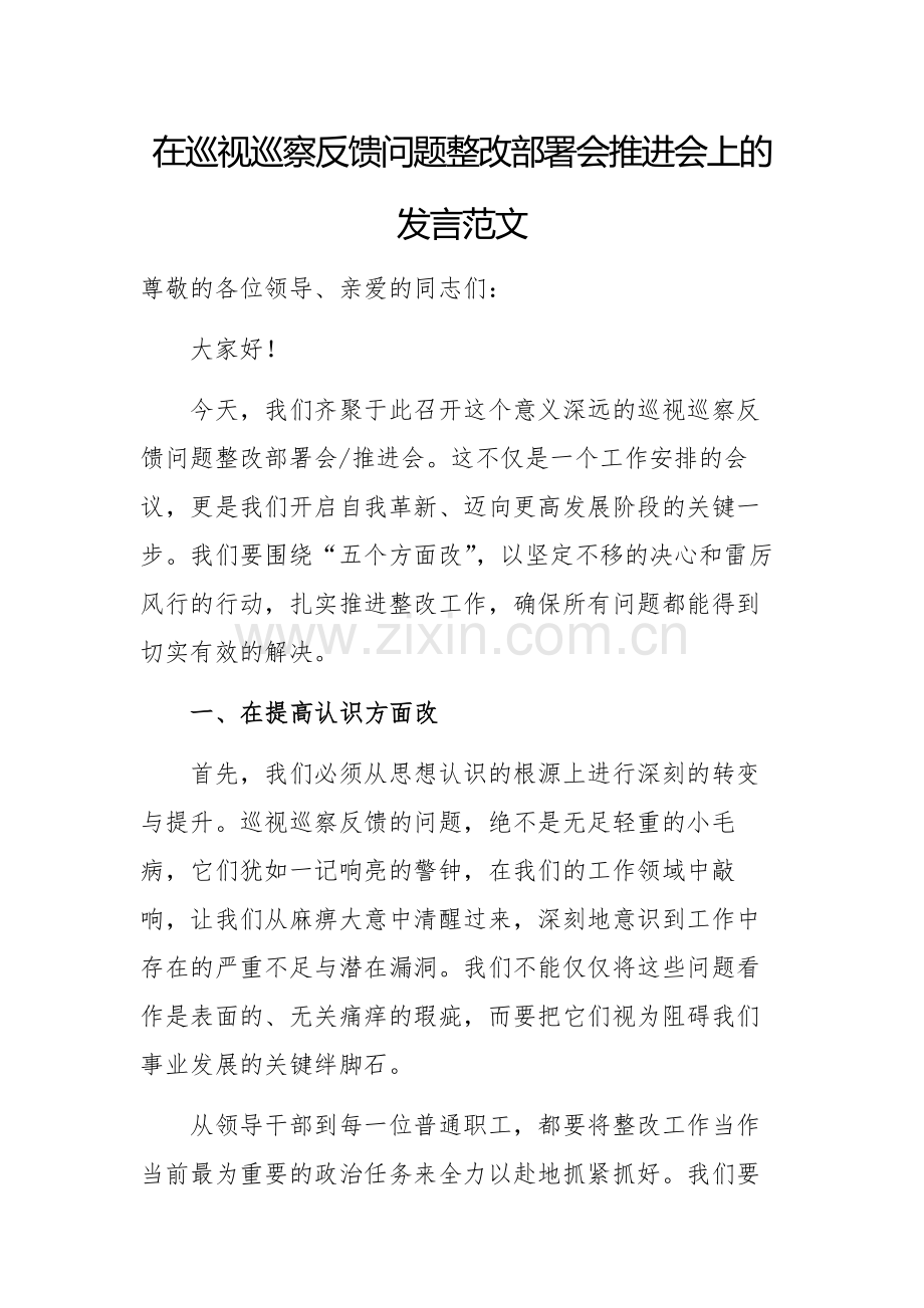 在巡视巡察反馈问题整改部署会推进会上的发言范文.docx_第1页