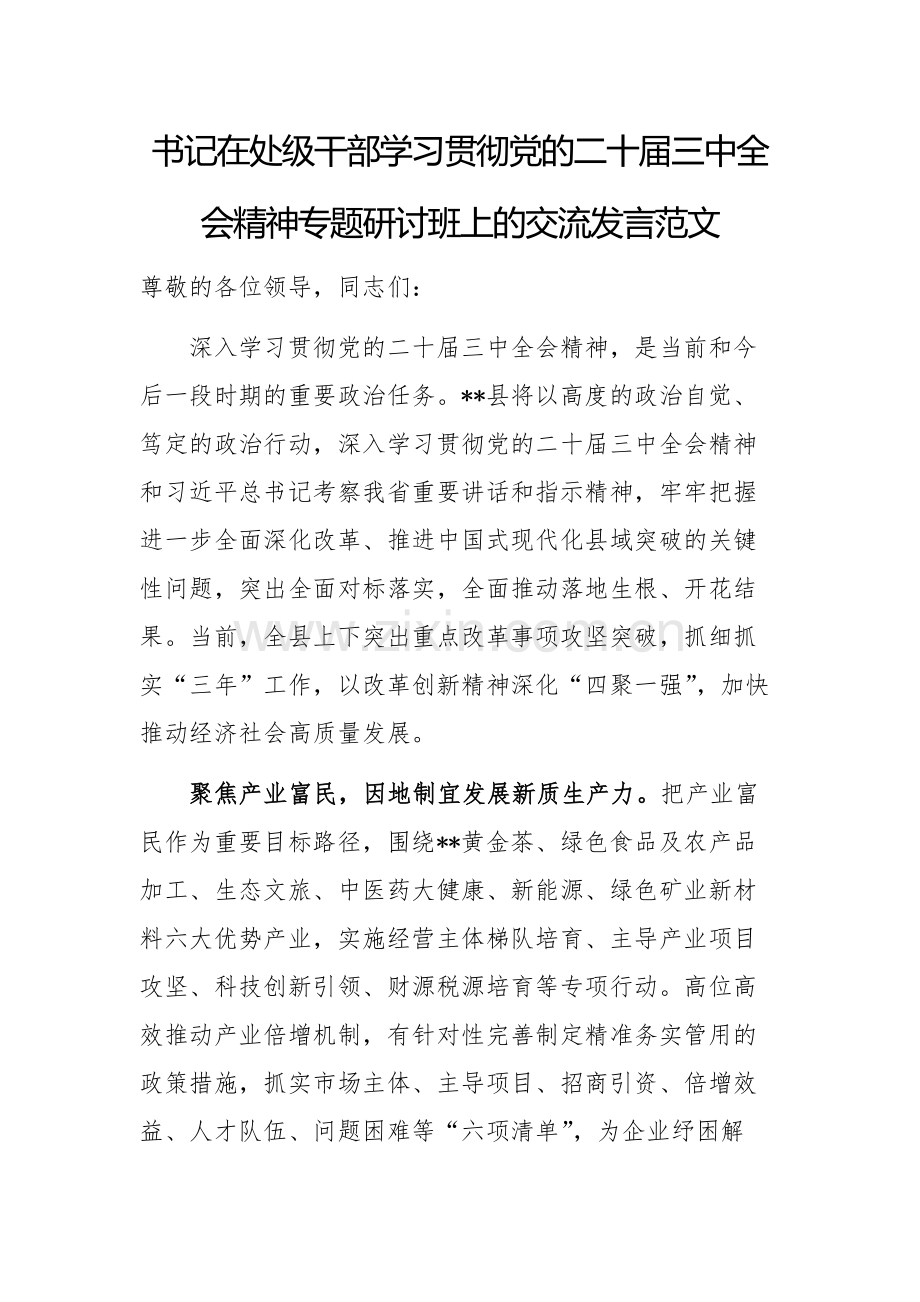 书记在处级干部学习贯彻党的二十届三中全会精神专题研讨班上的交流发言范文.docx_第1页