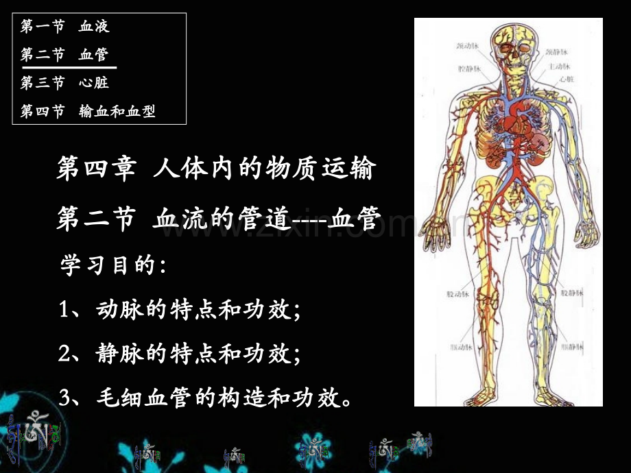 4.2血流的管道血管七年级下册生物公开课一等奖课件省赛课获奖课件.pptx_第1页