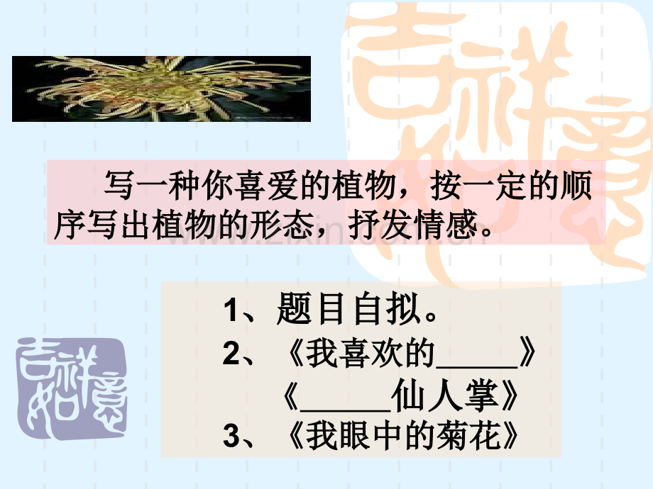 我喜欢的植物讲评课.ppt_第2页