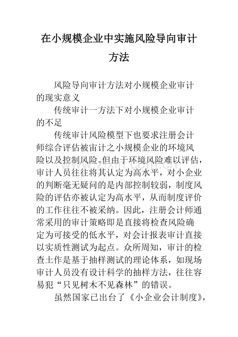 在小规模企业中实施风险导向审计方法.docx_第1页