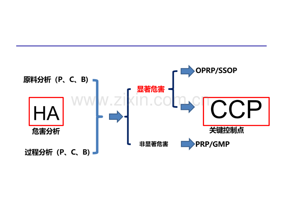 HACCP体系核心-如何开展危害分析.pdf_第1页