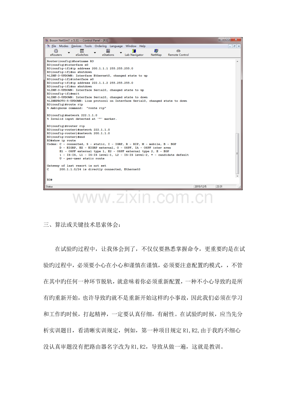 2023年网络系统集成与实践实验报告.doc_第3页