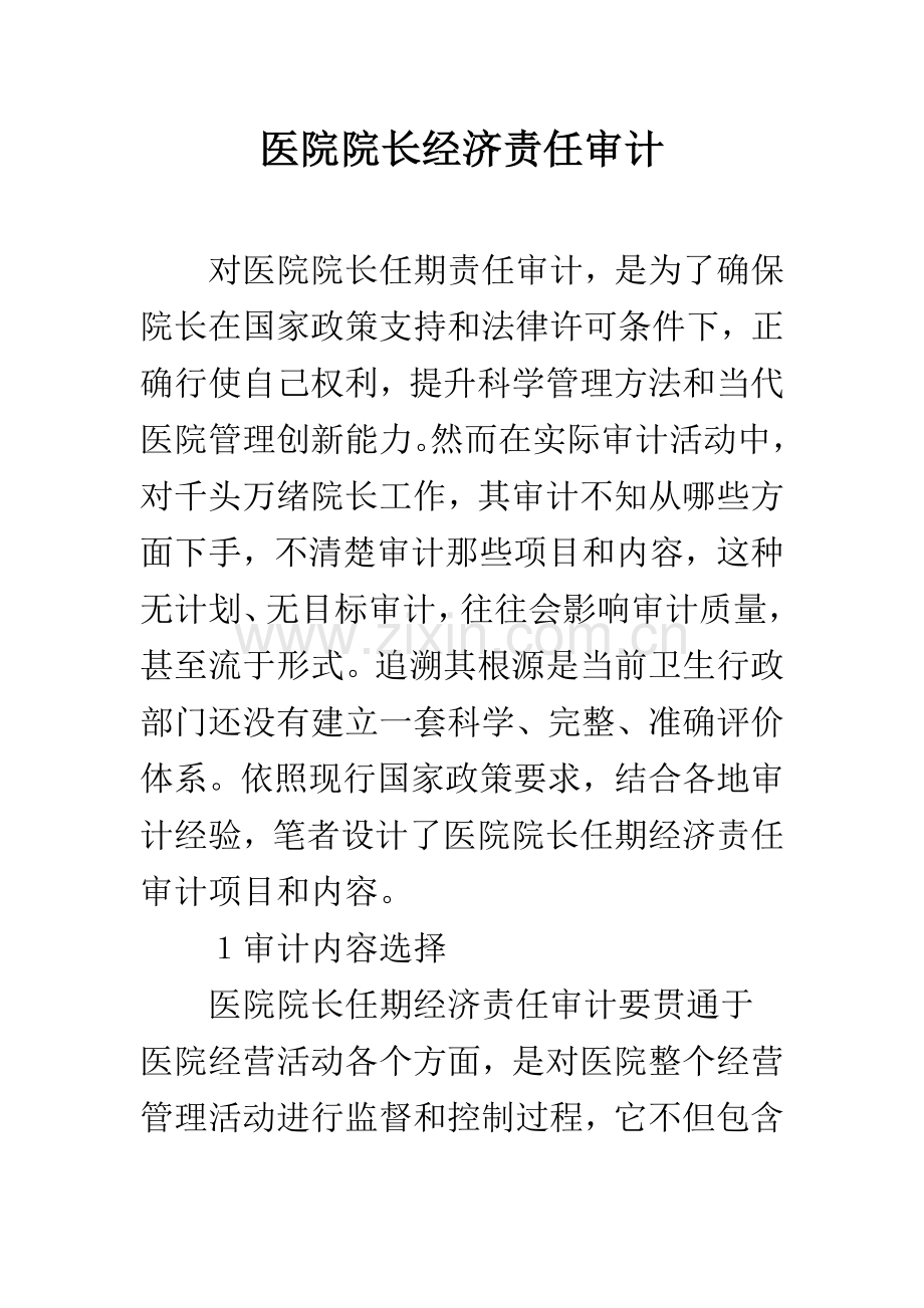 医院院长经济责任审计.docx_第1页