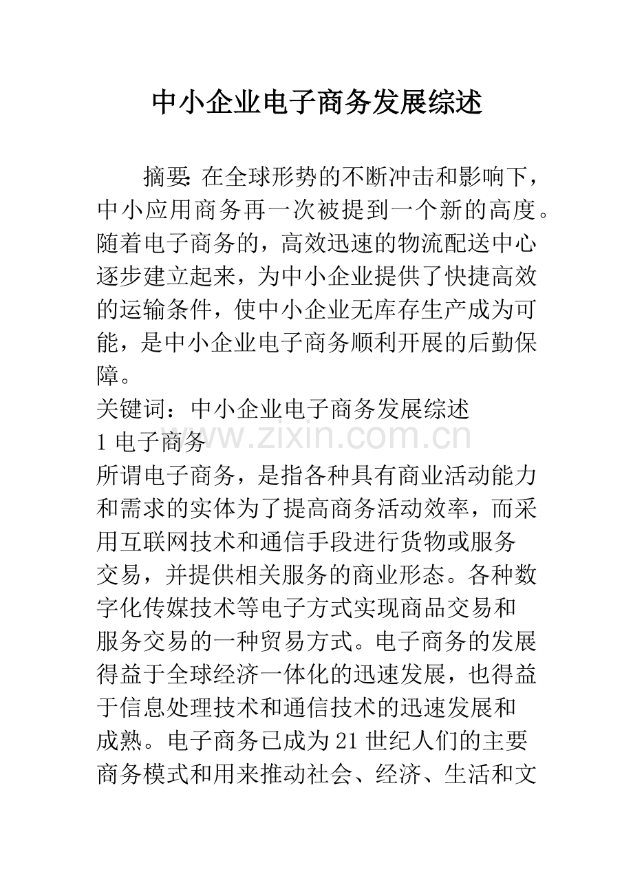 中小企业电子商务发展综述.docx_第1页