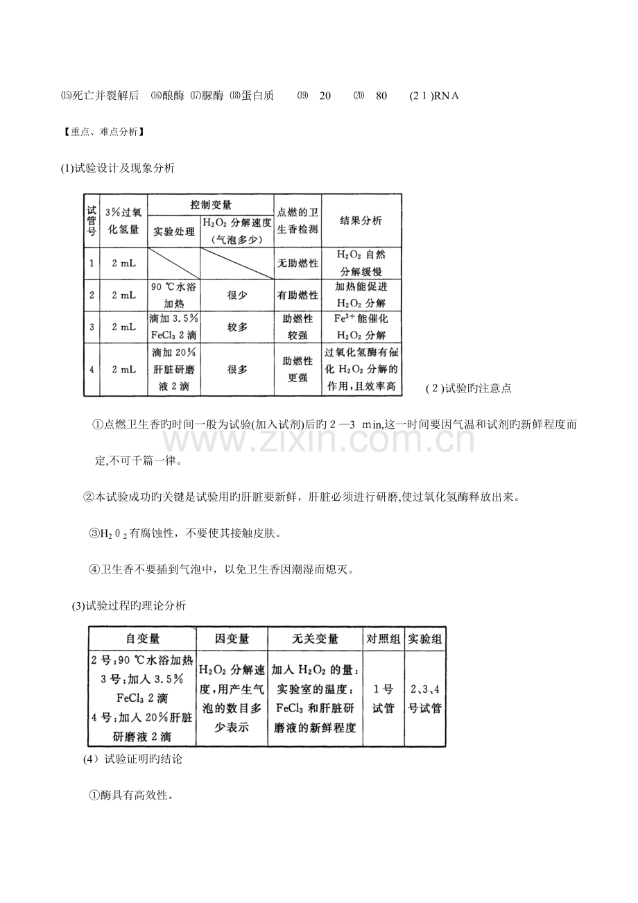 2023年高中生物全套复习资料必修一降低化学反应活化能的酶.doc_第3页