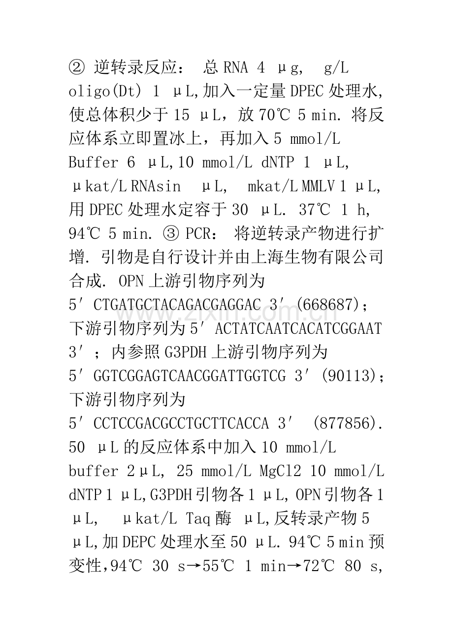 人脑胶质瘤骨桥蛋白的表达.docx_第3页