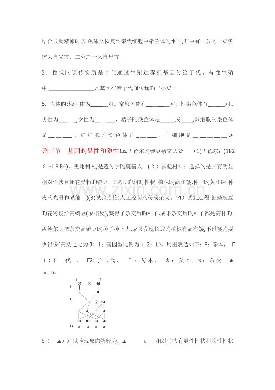 2023年人教版八年级下期生物的遗传和变异知识点.doc_第3页