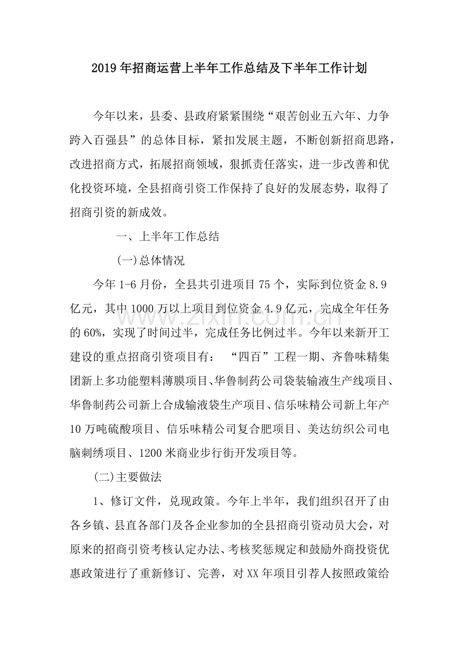 2019年招商运营上半年工作总结及下半年工作计划.docx_第1页