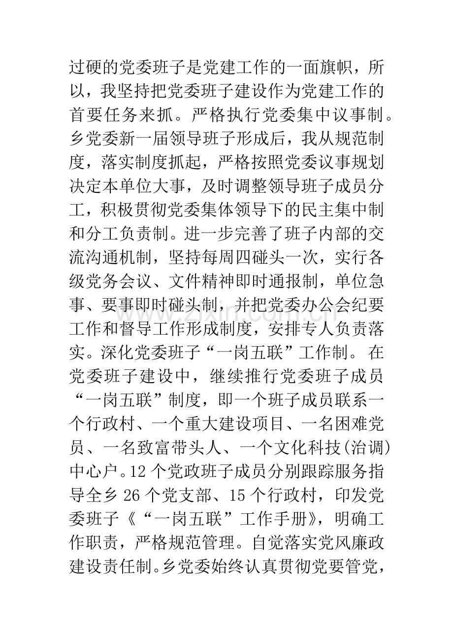 20XX年党政建设工作述职报告.docx_第2页