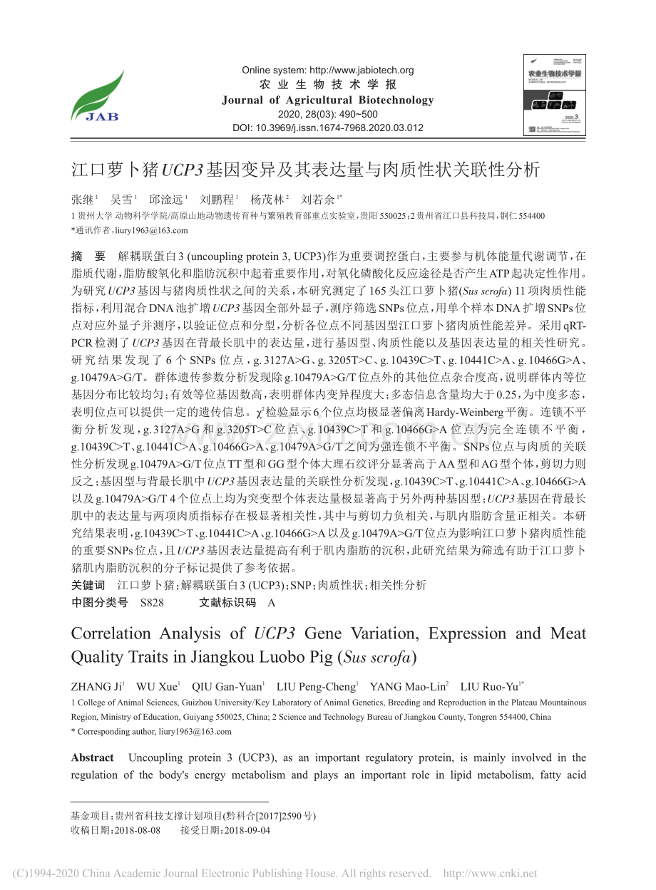 肌肉嫩度仪相关论文：江口萝卜猪UCP3-基因变异及其表达量与肉质性状关联性分析.pdf_第1页