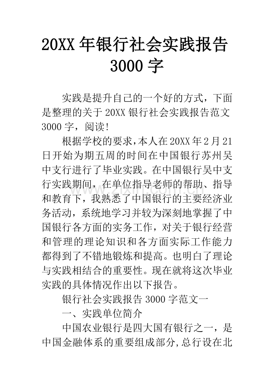 20XX年银行社会实践报告3000字.docx_第1页