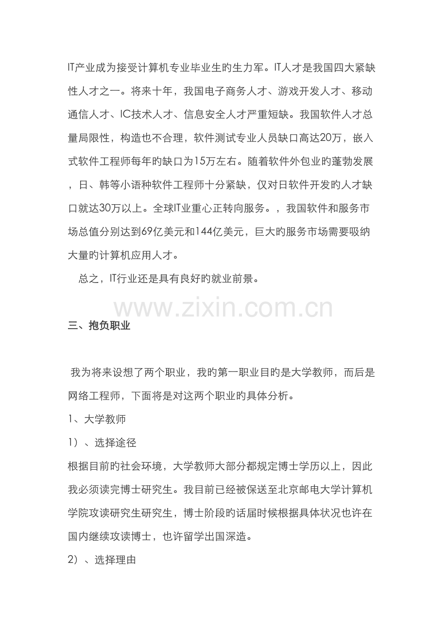 职业生涯规划模板计算机专业.docx_第3页