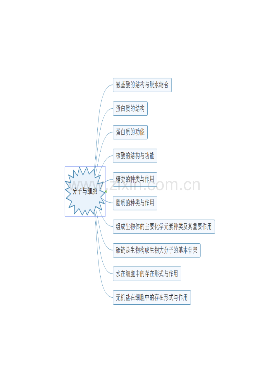 2023年江苏省普通高中生物学业水平测试考试说明思维导图.doc_第2页