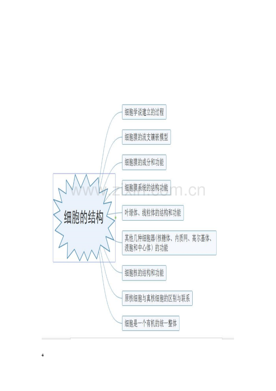 2023年江苏省普通高中生物学业水平测试考试说明思维导图.doc_第3页