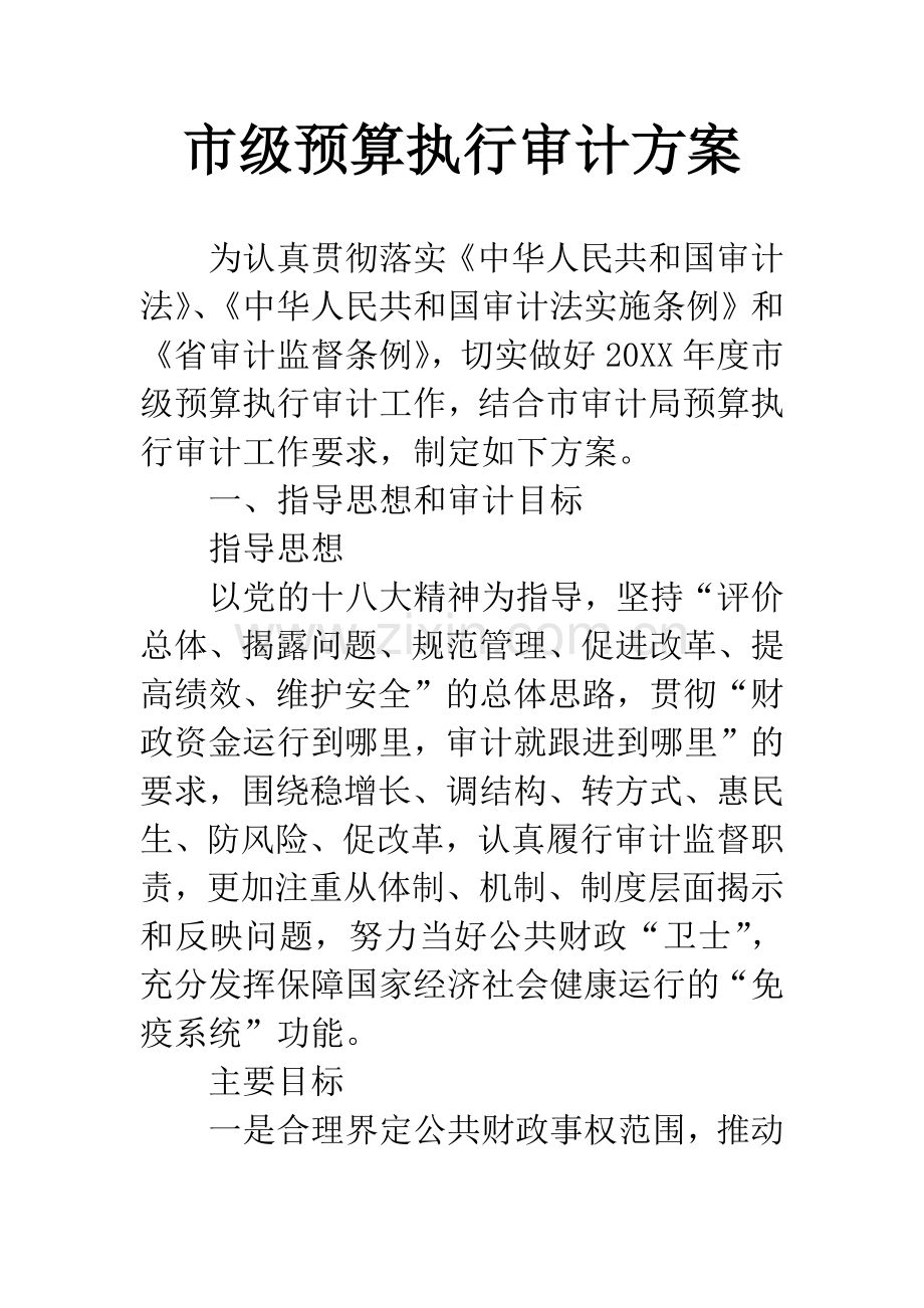 市级预算执行审计方案.docx_第1页